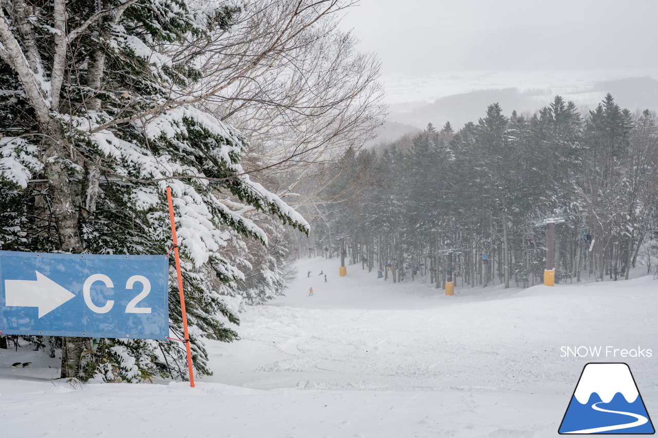 富良野スキー場｜スキーやスノーボードが初めての子供たちや初級者でも、ゲレンデの楽しさを味わえる工夫がいっぱい♪みんなに優しいスノーリゾート・富良野スキー場(^^)/